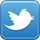 Twitter icon